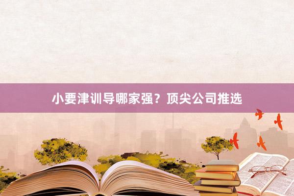 小要津训导哪家强？顶尖公司推选