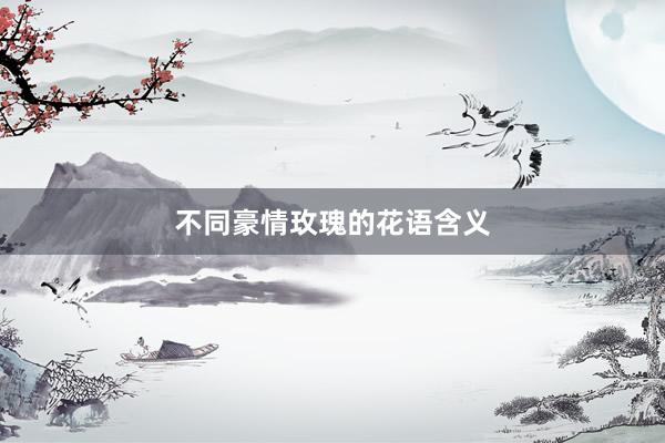 不同豪情玫瑰的花语含义