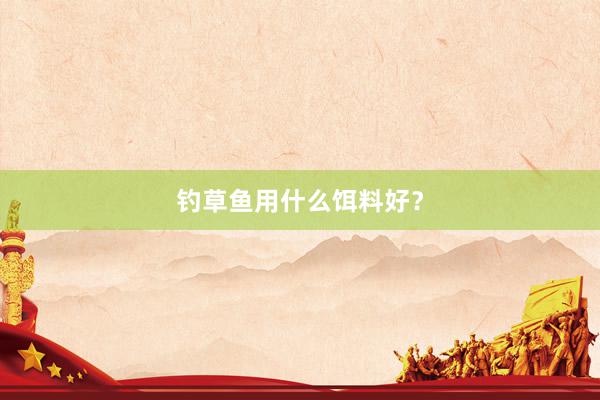 钓草鱼用什么饵料好？